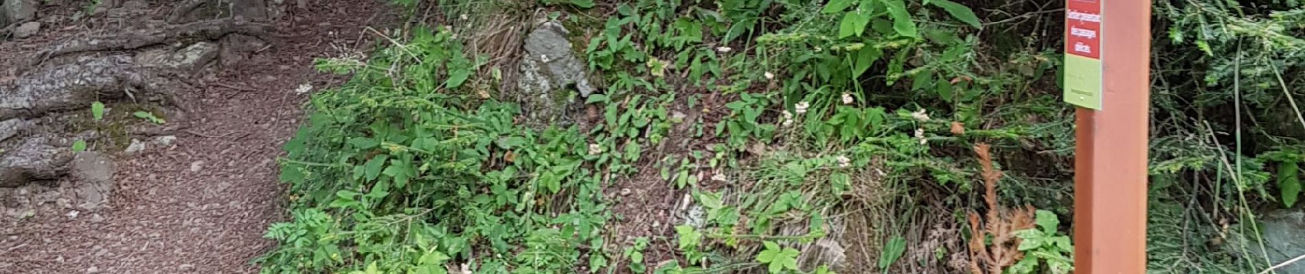 Tocht Stappen Moulinet - Turini- tour de la Calmette - Photo