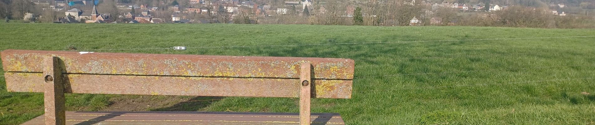 Tocht Stappen Lobbes - tamalous de la Botte  - Photo