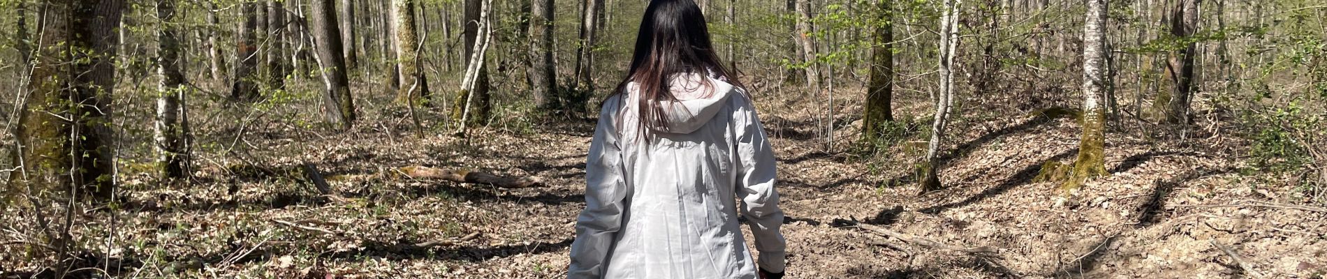 Excursión Senderismo Marigny - Forêt de Bagnolet - entre chemins et bois - Photo