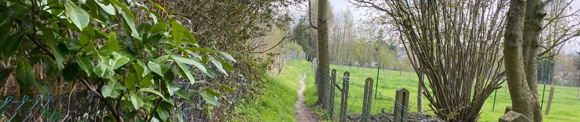 Excursión Senderismo Brakel - Everbeek 18,4 km - Photo