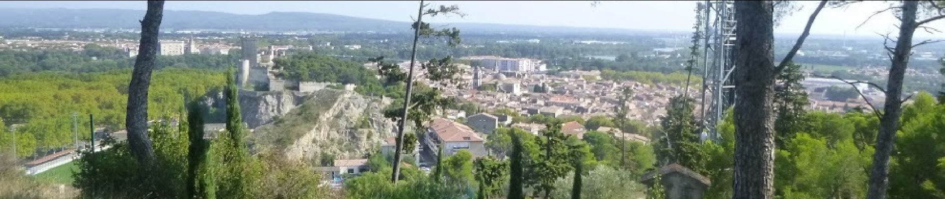 Tocht Te voet Beaucaire - Les Trois Croix - Photo