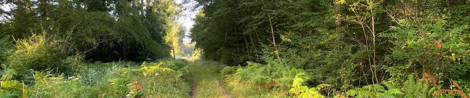 Point d'intérêt Saint-Jean-aux-Bois - Point 1 - Photo