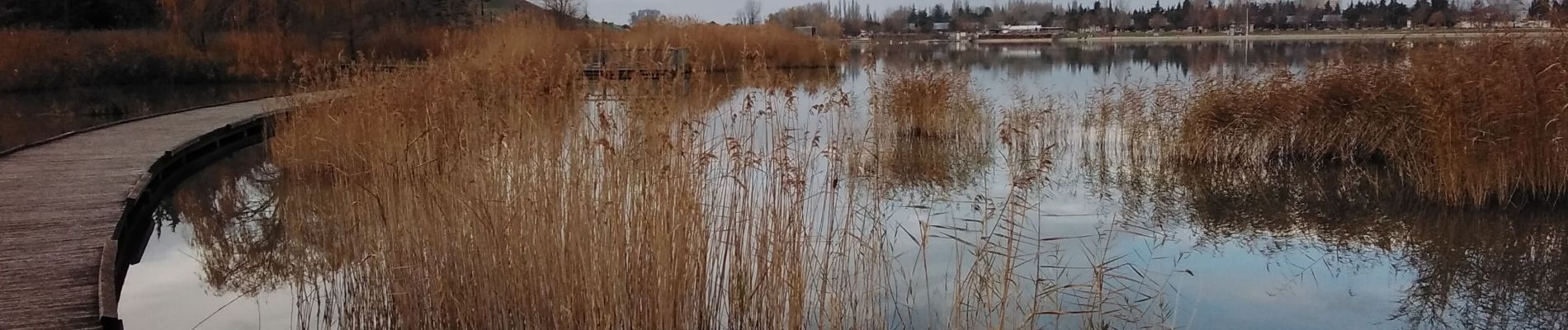 Trail Walking Monteux - lac de monteux  - Photo