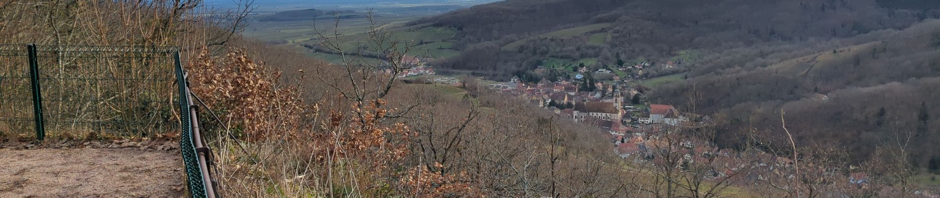 Tocht Stappen Andlau - Andlau-Spesbourg - Photo