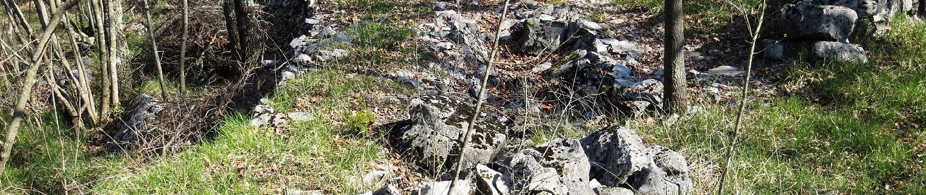 Percorso A piedi Sesana - Teranova krožna pot Dutovlje - Photo