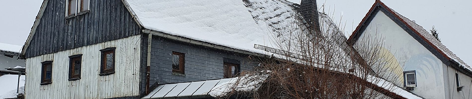 Tocht Te voet Großharthau - Gelber Punkt Massenei - Photo