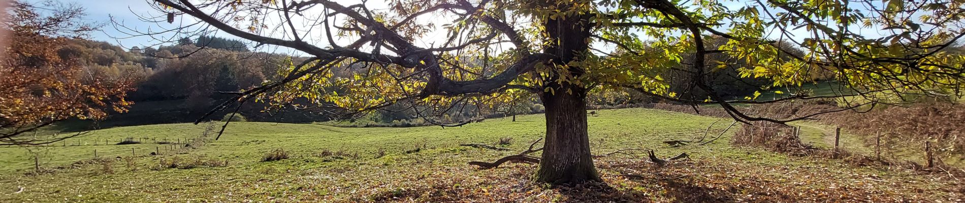 Tour Wandern Bersac-sur-Rivalier - Bersac-sur-Rivalier - Beaubiat - 5,5 km - Photo