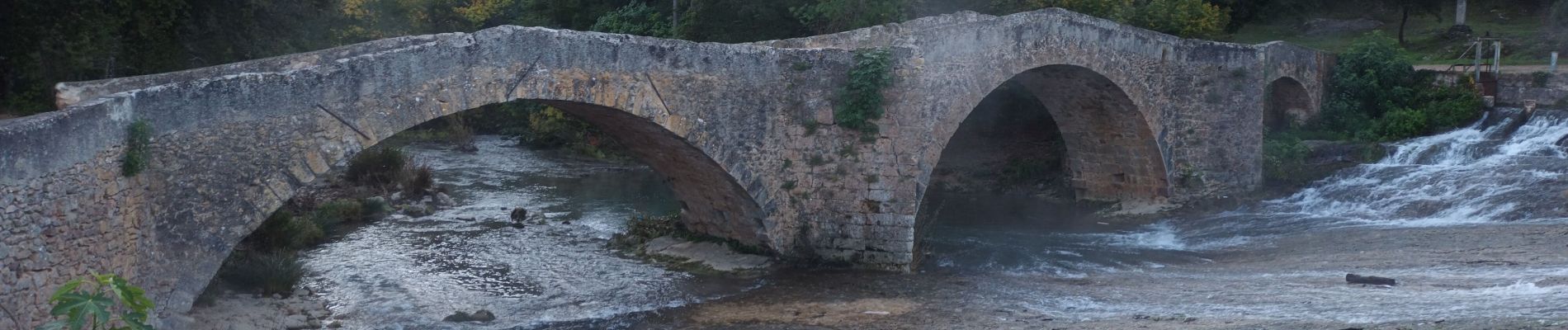 Tocht Stappen Vins-sur-Caramy - Vins sur Caramy-15-10-21 - Photo