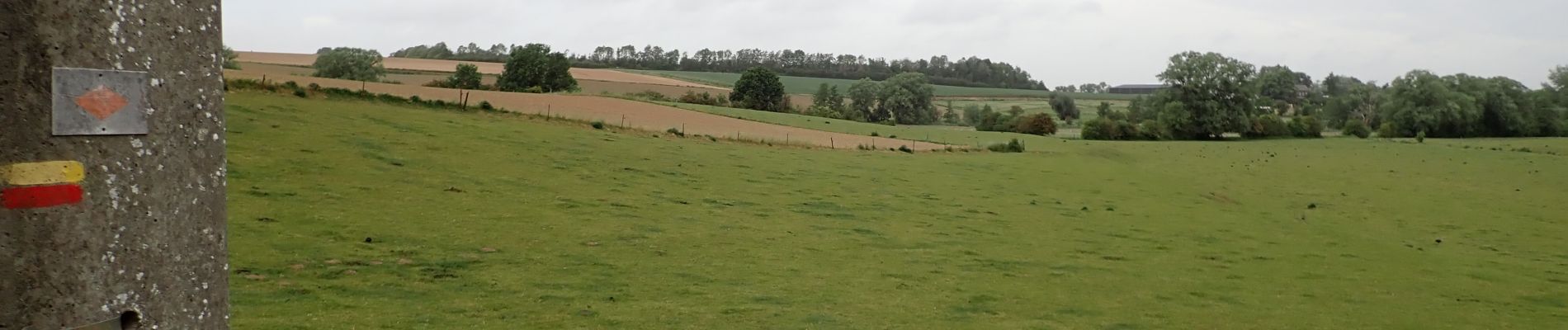 Point d'intérêt Genappe - Vue nord Chemin de Loncée - GRP 127 - Photo