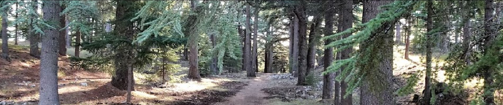 Tour Wandern Levens - Crête du Ferion par Levens  - Photo