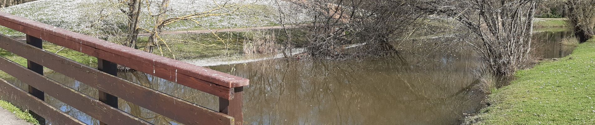 Randonnée Marche Boissy-Saint-Léger - parc bruyère  sucy - Photo