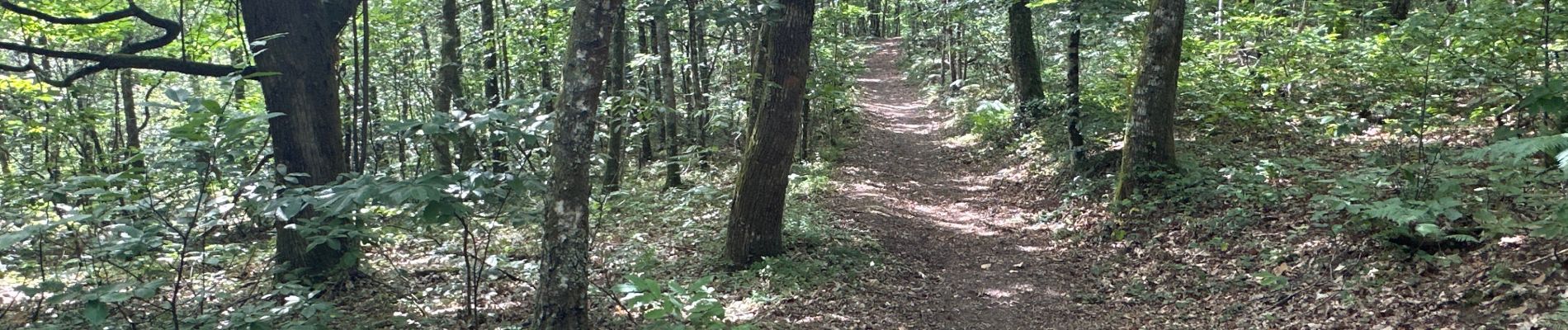 Randonnée  Saint-Pardoux-le-Lac - Du site de Freaudourd boucle par Masmaraud - Photo