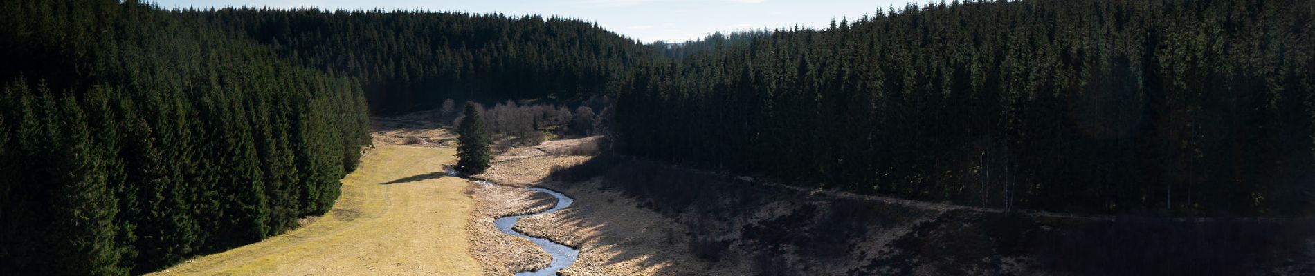 Tour Wandern Büllingen - Rocher du Bieley   - Photo