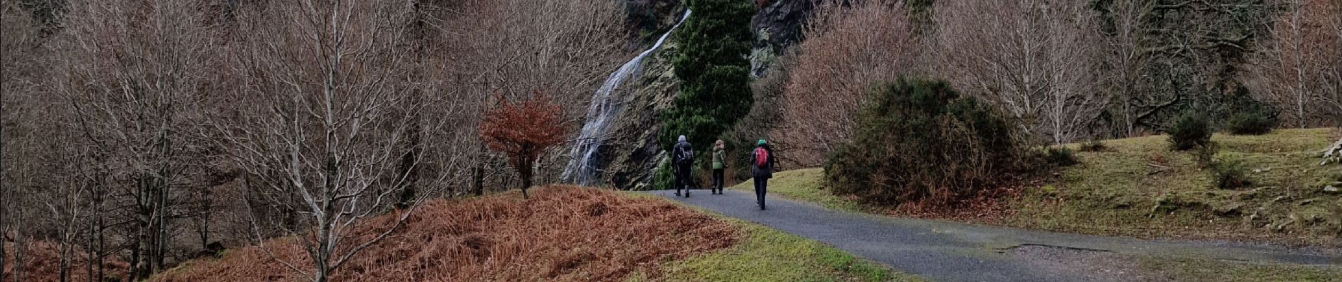 Tour Wandern The Municipal District of Bray - waterfall - Photo