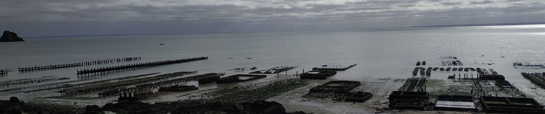 Tocht Stappen Cancale - 2024-03-19 boucle Cancale  - Photo