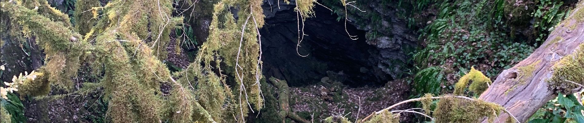 Trail Walking Catus - Ballade du gouffre - Photo