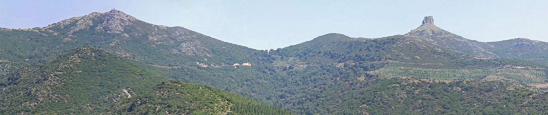 Percorso A piedi Arzana - (SI Z19) Terra Ona- Caserma Forestale Montarbu - Photo