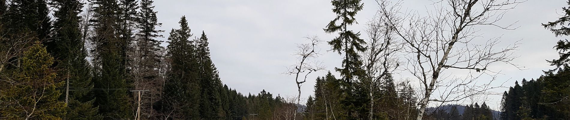 Tour Wandern Les Rousses - E Jura - matinée du samedi 25-01-2020 - le Pré Rodet - Photo