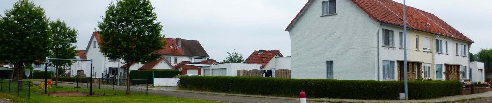 Tour Zu Fuß Tienen - Bloesemwandeling lange versie - Photo