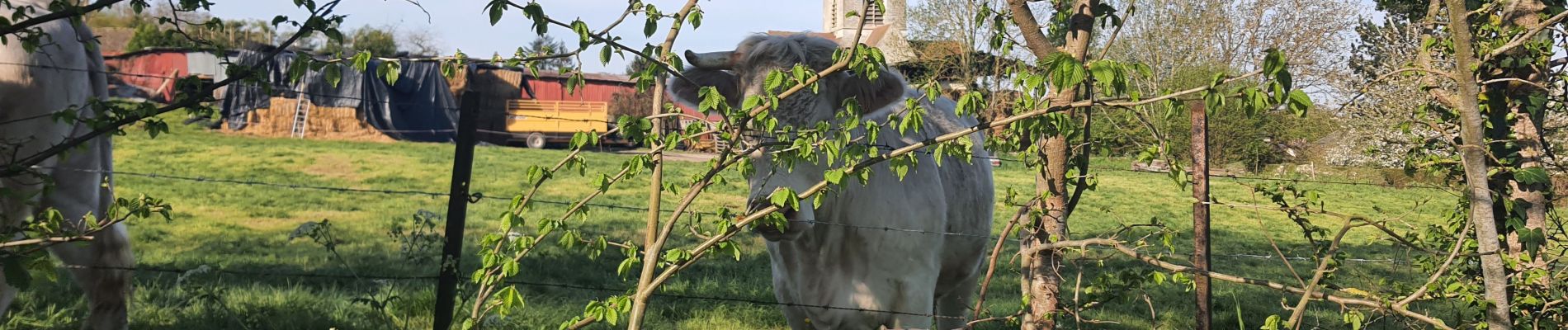 Tour Wandern Vesly - Vesly côte de Guerny Gisancourt et le chêne, ferme de Nainville - Photo