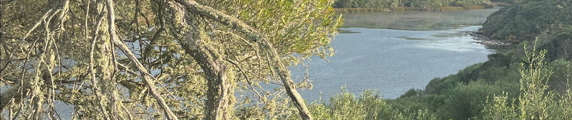 Tocht Stappen Maó - Parc naturel Albufera des Grau Minorque  - Photo