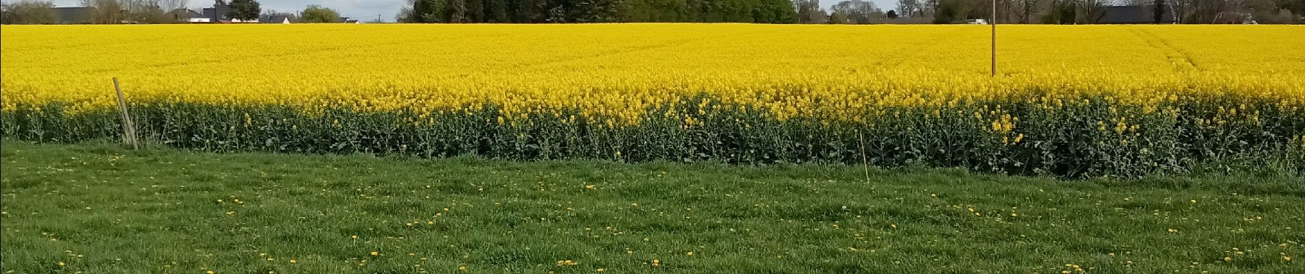 Randonnée Marche Routot - Routot , Croix - Sainte-Marie , La Haie de Routot  - Photo