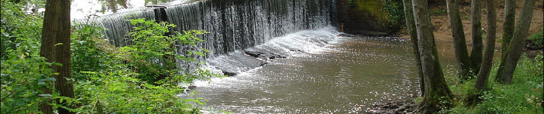 Point d'intérêt La Bénisson-Dieu - Cascade de la Teyssonne - Photo