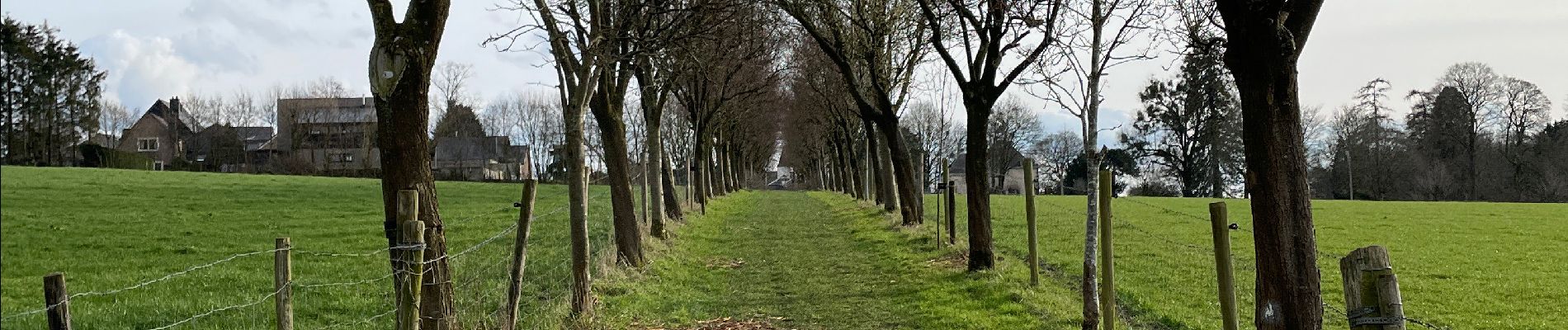 Excursión Senderismo Trooz - Forêt Meisier Magnee retour par la carrière  - Photo