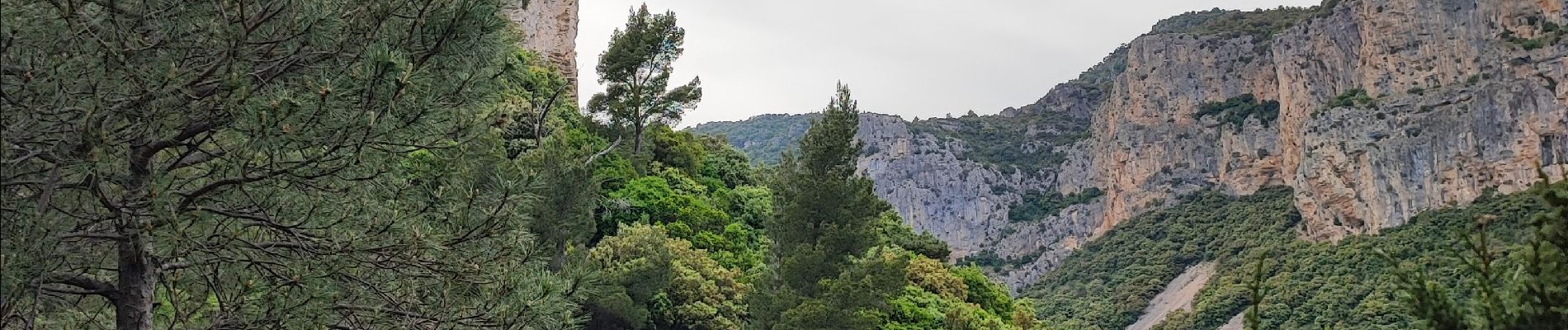 Tocht Stappen La Vacquerie-et-Saint-Martin-de-Castries - La Vacquerie St Guilhem  - Photo