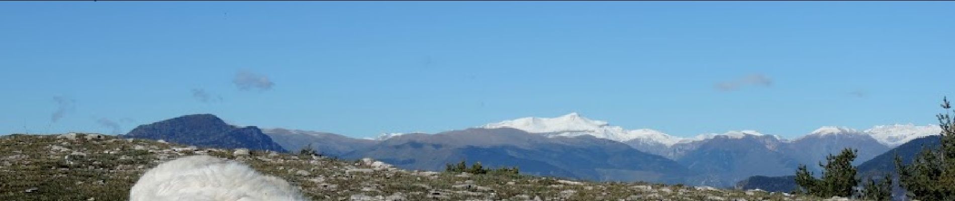 Randonnée Marche Utelle - Madone d'Utelle par le Cros d'Utelle, près collet Huesti - Photo