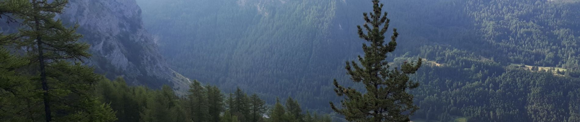 Tour Wandern Saint-Sauveur - Le Méale (par le parking de la forêt) - Photo