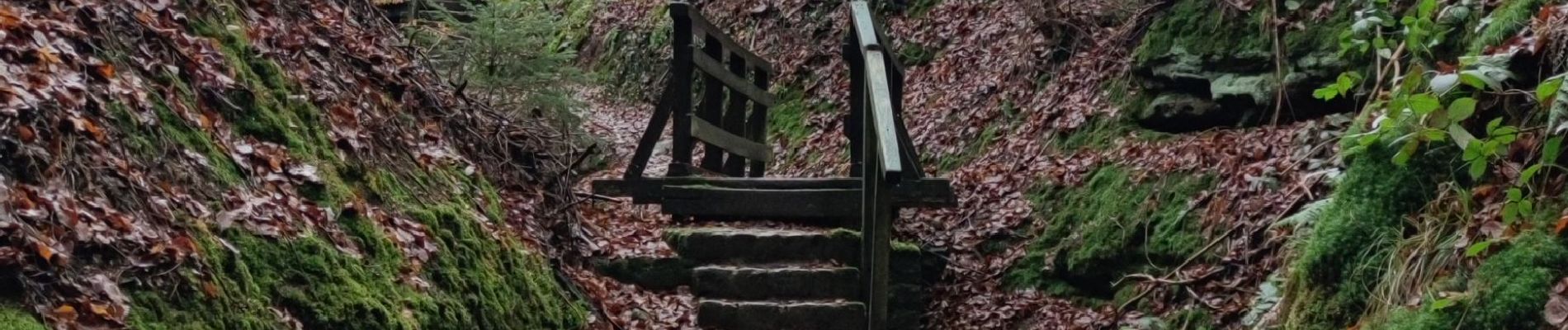 Randonnée Marche Waldbillig - La cascade de Mullerthal - Photo