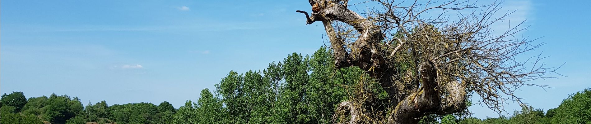 Randonnée Marche Hamoir - Comblain la tour  - Photo