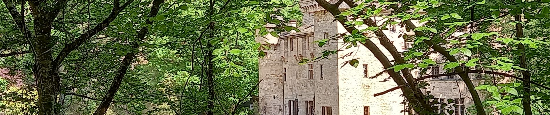 Punto de interés Gorges du Tarn Causses - Château de la Caze - Photo