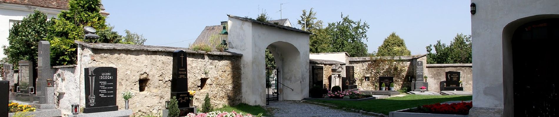 Randonnée A pied Gemeinde Bruckneudorf - Marc-Aurel-Rundwanderweg - Photo