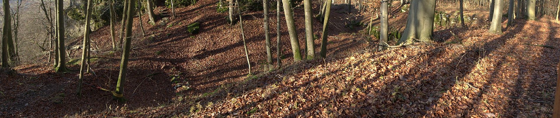 Tocht Te voet Pretzfeld - Rundweg Wannbach - Poppendorf - Photo