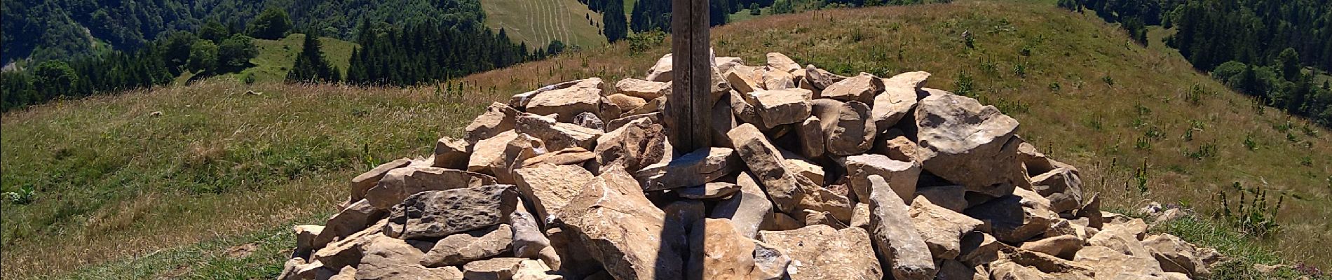 Tour Wandern La Pesse - Le Berbois Crêt aux Merles  - Photo