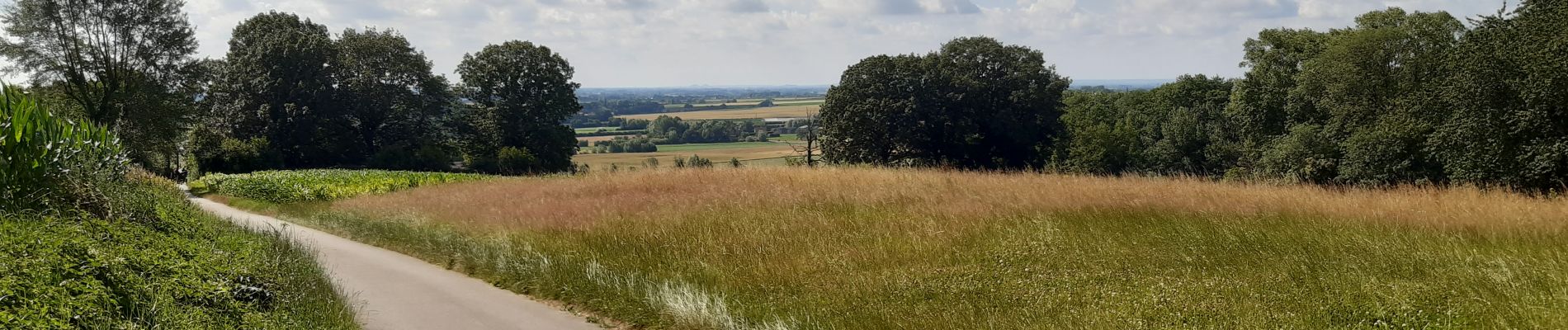 Excursión Senderismo Saint-Jans-Cappel - La cordillère des Flandres - Photo