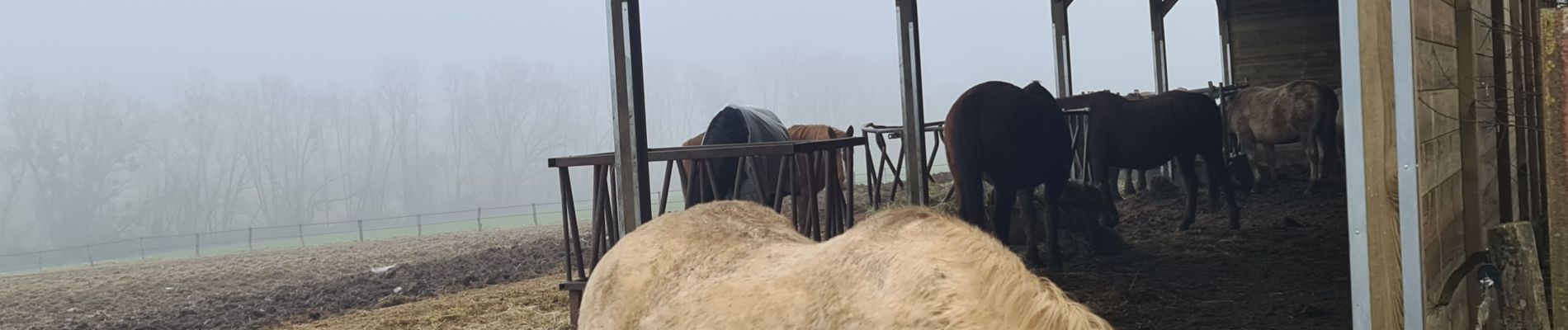 Randonnée Marche Bouxières-aux-Chênes - Amance blanzey boucles des amance - Photo