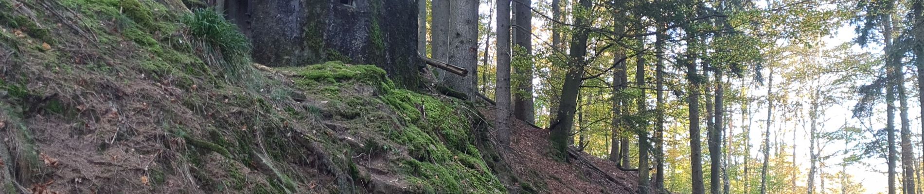 Tour Wandern Windstein - Rando Maginot Windstein - Photo