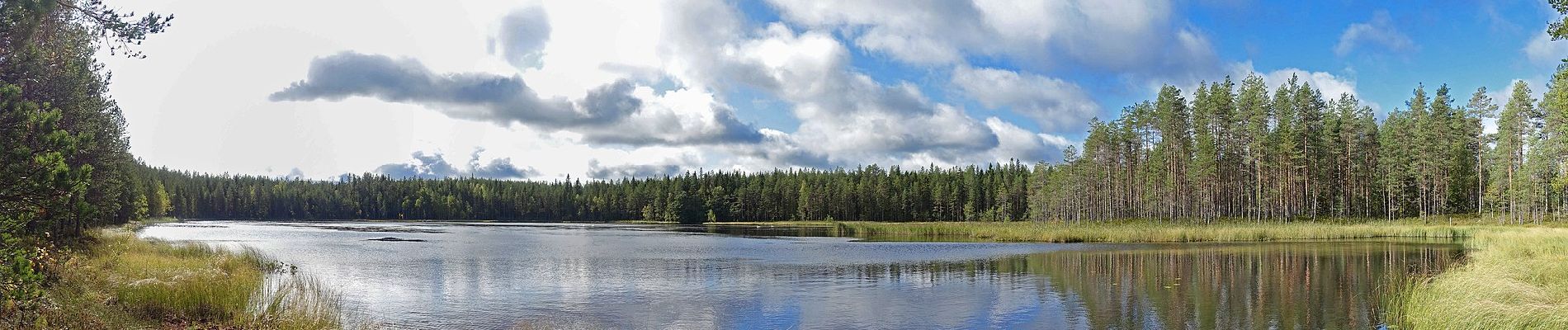 Percorso A piedi Saarijärvi - Tulijärven polku - Photo