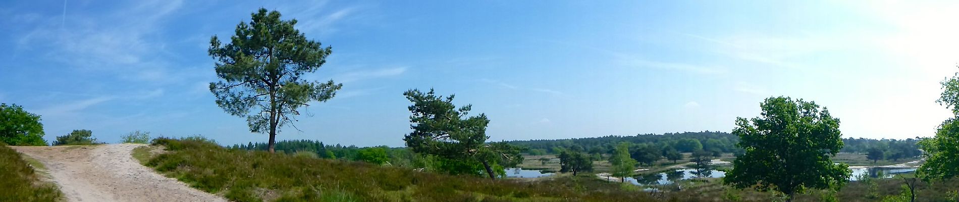 Trail On foot Bergen - Wandelroute Rivierduinen - Photo