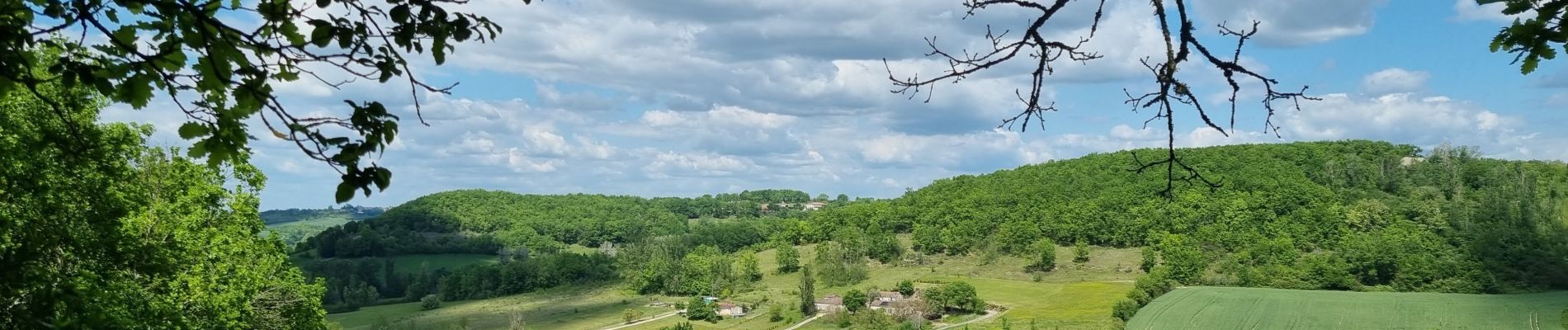 Tour Wandern Pujols - nouaillc 06 05 22 - Photo