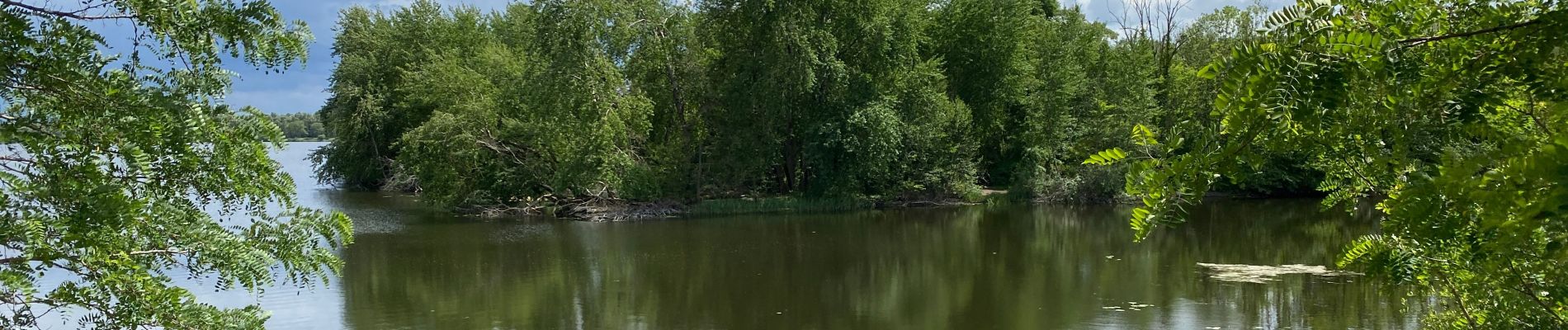 Excursión Senderismo Condé-sur-l'Escaut - Condé sur l’Escaut 15,4 km - Photo