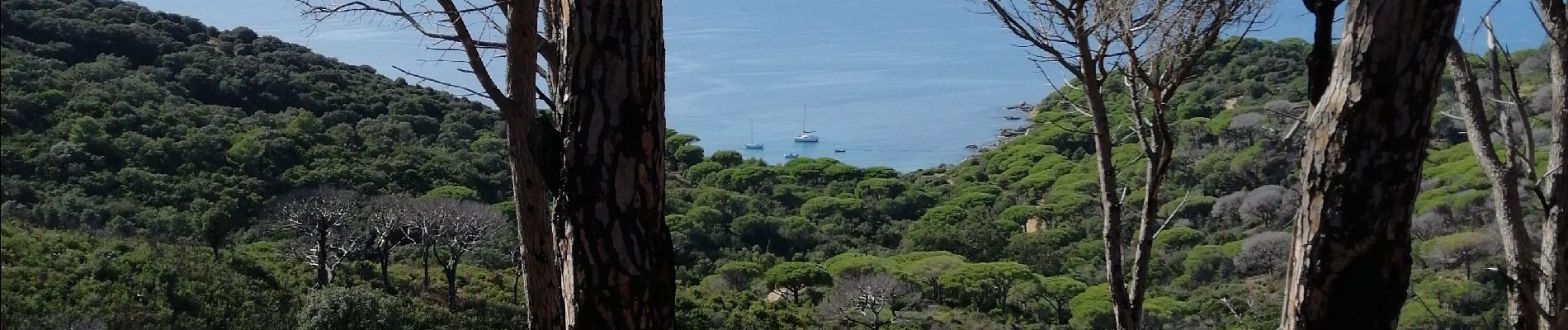 Randonnée Marche Ramatuelle - Cap Taillat  et Cap Lardier - Photo