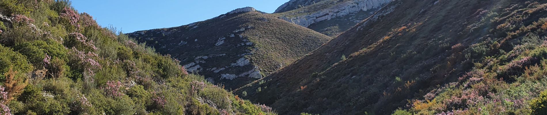 Tocht Stappen Marseille - Vallon Lantin, crêtes de Carpiagne, Vallon Luinant - Photo