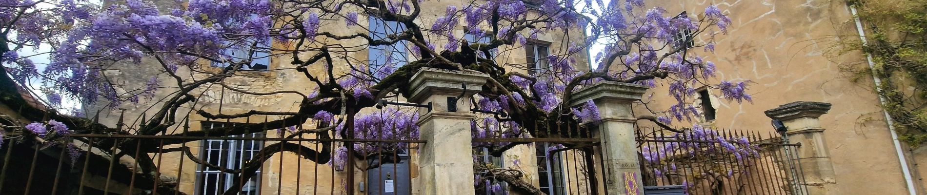 Tour Wandern Auxerre - auxerre vezelay - Photo