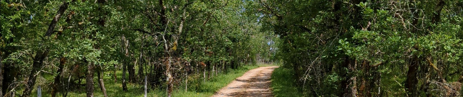 Trail Walking Penne - Fabre - les Suquets - Photo