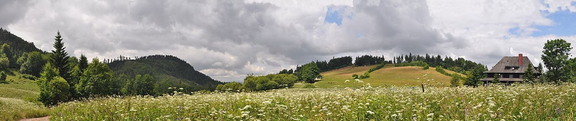 Trail On foot Rybnica Leśna - Schronisko Andrzejówka – Przełęcz Pod Szpiczakiem - Photo