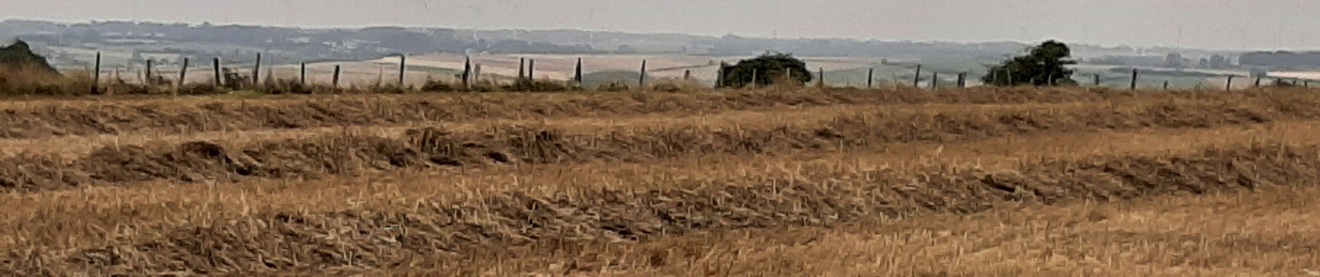 Tour Wandern Vincly - Les hauts de VINCLY  - Photo